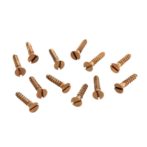 Slotted Screws